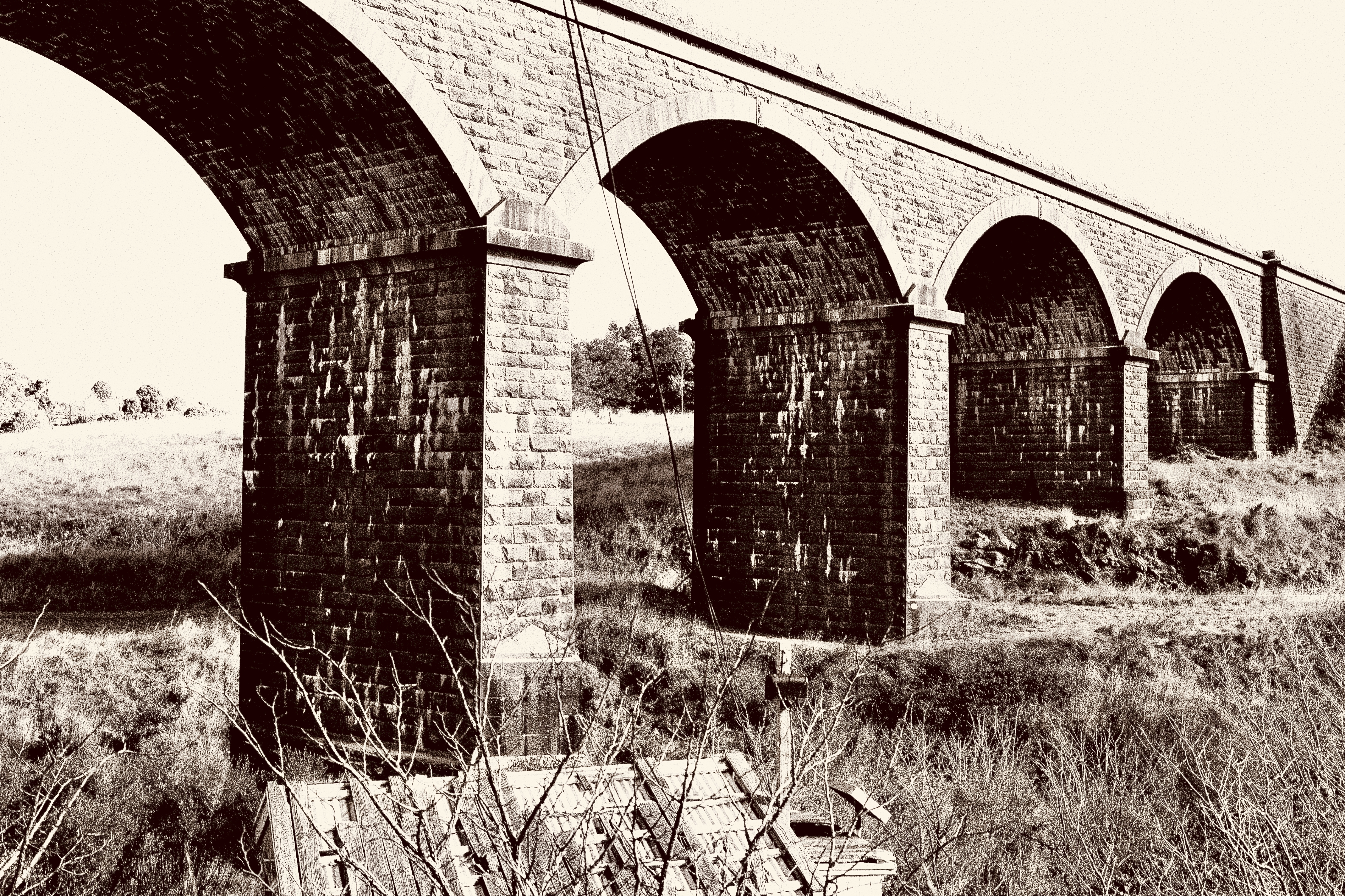 Tiled Image